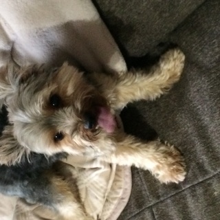 よろしくお願いします