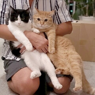 マイケル＆はっちゃんの写真