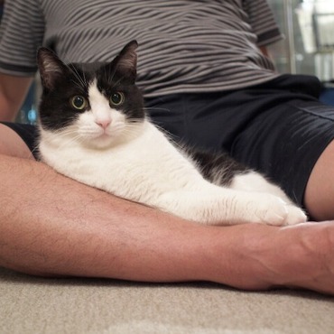 マイケル＆はっちゃんの写真