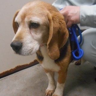 家族決定！シニアにはシニアの魅力♡