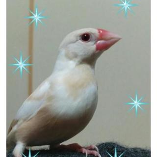 沢山のあたたかいご応募有難うございました。