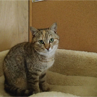 一緒に日向ぼっこしてください。