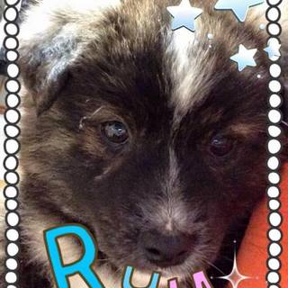 元気な男の子　りゅう君