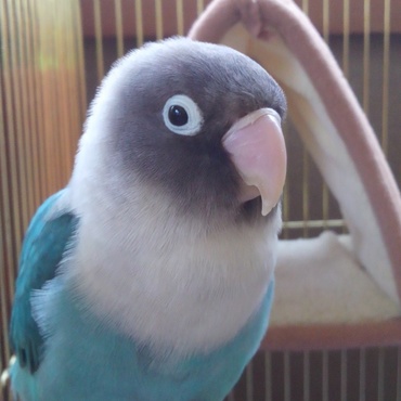 見た目の可愛らしさとは想像もつかないほど破壊力が激しいぶりたん(笑)