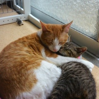 お利口さんと甘えたさん