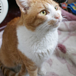 愛嬌たっぷりの男の子「とみお」くん☆