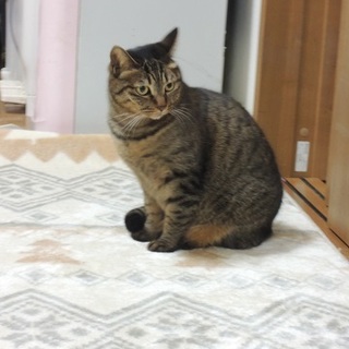 おとなしいユニちゃん