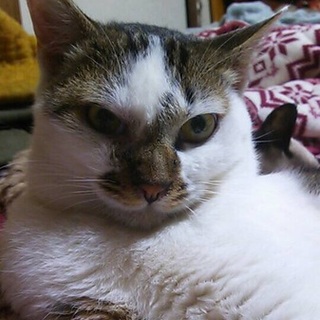 性格の良さピカイチです(^ ^)