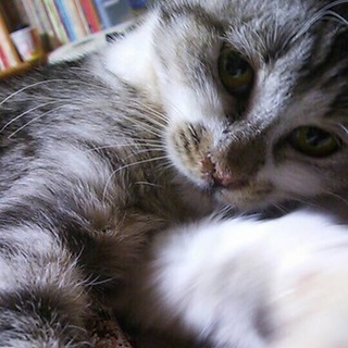 メチャかわ女の子です♪