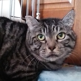 家族を募集してます♪