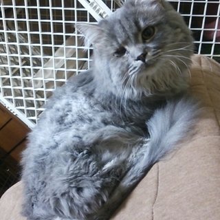 お利口さんなﾀﾞﾝ☆