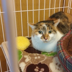 はじめまして！