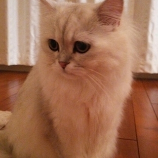 沢山の応募ありがとうございます。