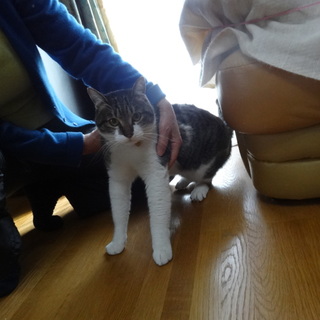 大人しくて一緒に寝るのが大好き