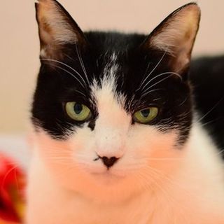 ひとりっ子でお願いします☆こみちちゃん