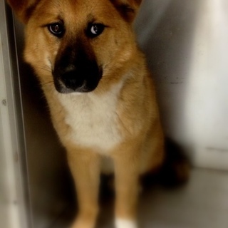 タキシードが似合いそうな「福田君」よろしくね！