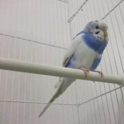 飼い主様のもとに