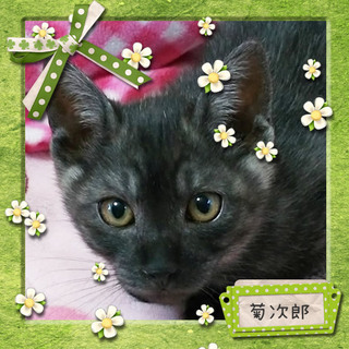 やんちゃな男の子４か月