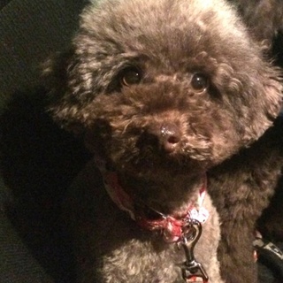 おりこうさんの女の子です♪