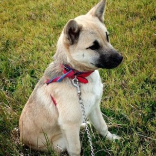 決まりました♪