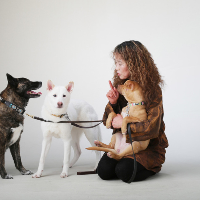 一般社団法人動物愛護協会PHILIA-NET(フィリアネット)のカバー写真