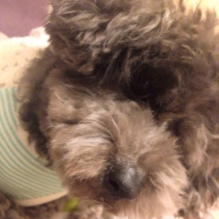 里親さん来てください(^_^)