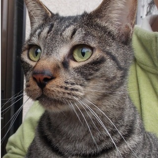 里親さん決定！おめめキラキラの（仮）元気君！