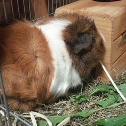 ん、まぁまぁね。