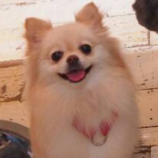 ニコニコ穏やか笑顔の　ミルクちゃん☆彡