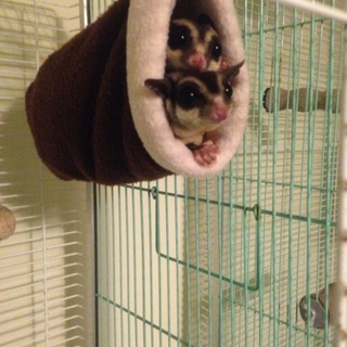 交渉中のため新規での募集は締め切りました