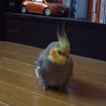 の写真