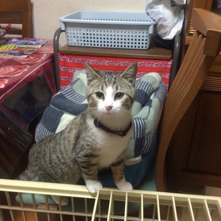 「アカちゃん」♂　ビビリまくり！