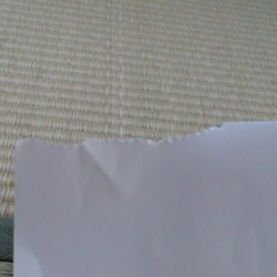 「ぶりたんの特技」サムネイル3