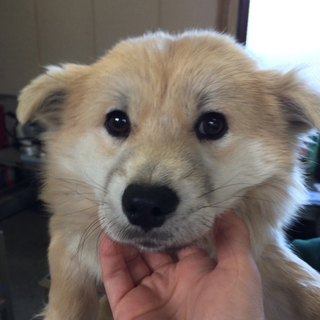 ビビリさんだからゆっくり家族になっていこう♡