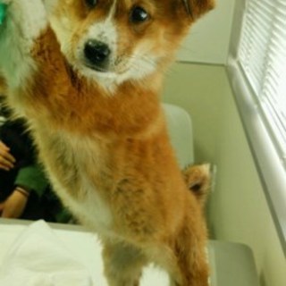 ２～３ヵ月かわいい女の子