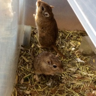 沢山の御応募に心から感謝します！