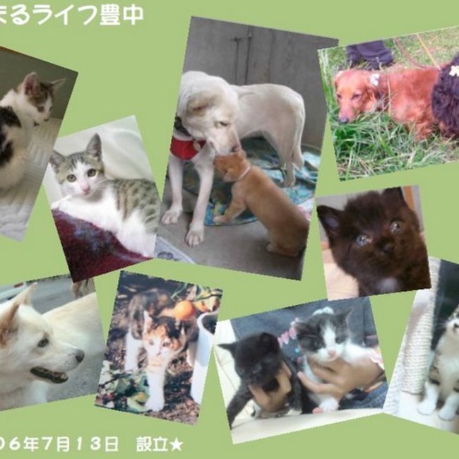 ★あにまるライフ豊中★のカバー写真