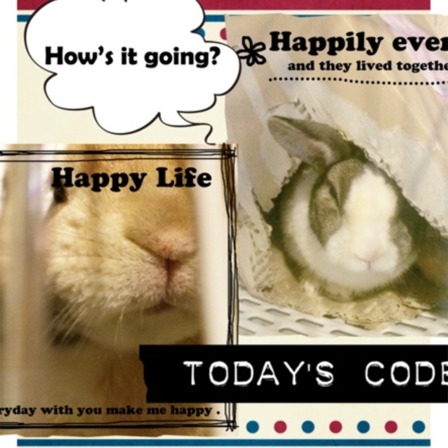 y7y7のカバー写真