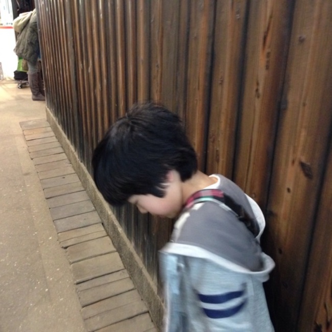 モムのカバー写真