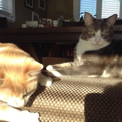 「我が家の宝 3ボーイズ」サムネイル2