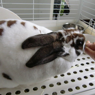 関東近県の方募集