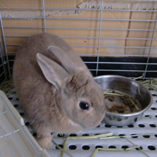 関東近県の方募集