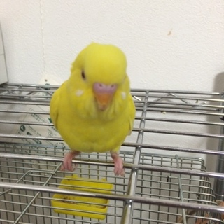 応募多数の為いったん停止させて頂きます。