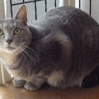 ぐれートラメス2才怖がりさんです