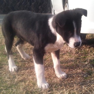 譲渡されました！！