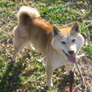 リコちゃん素敵な里親様に巡り会えました