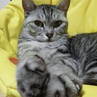 良い方と巡り合えました。ありがとうございます。