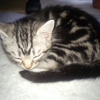 面談が決まったため一度終了します