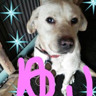 募集を一時中止致します。