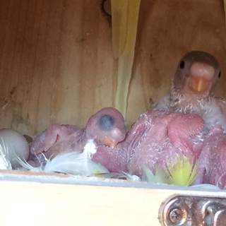 沢山のご応募ありがとうございました！